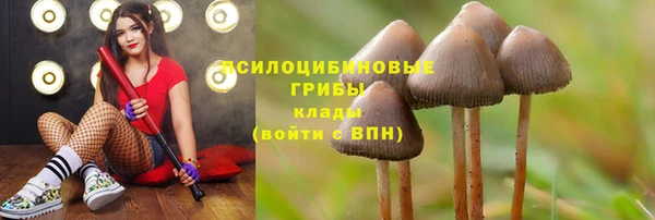 героин Пестово