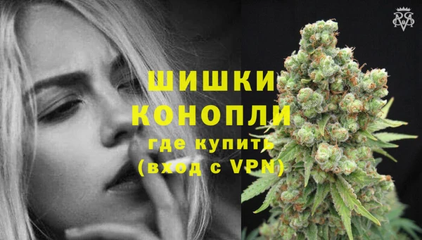 PSILOCYBIN Покачи