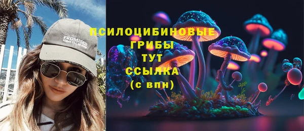 шишки Переславль-Залесский