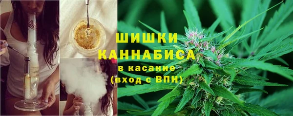 PSILOCYBIN Покачи